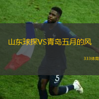 山东球探VS青岛五月的风