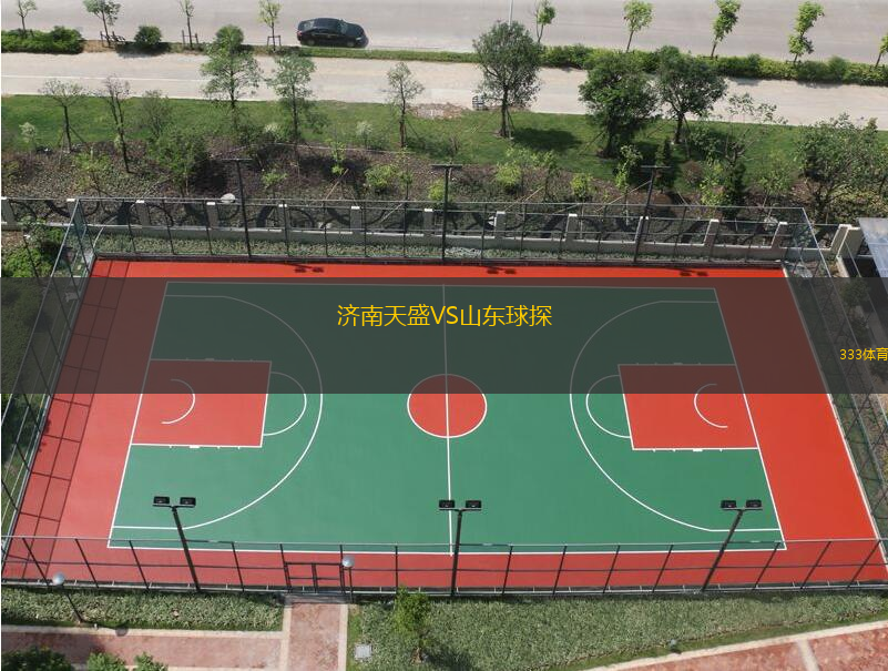 济南天盛VS山东球探