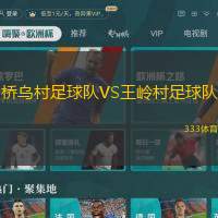 桥乌村足球队VS王岭村足球队