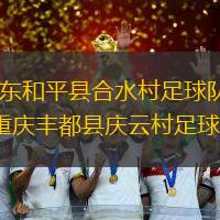 广东和平县合水村足球队VS重庆丰都县庆云村足球队