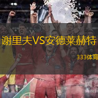 谢里夫VS安德莱赫特