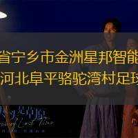 湖南省宁乡市金洲星邦智能足球队VS河北阜平骆驼湾村足球队