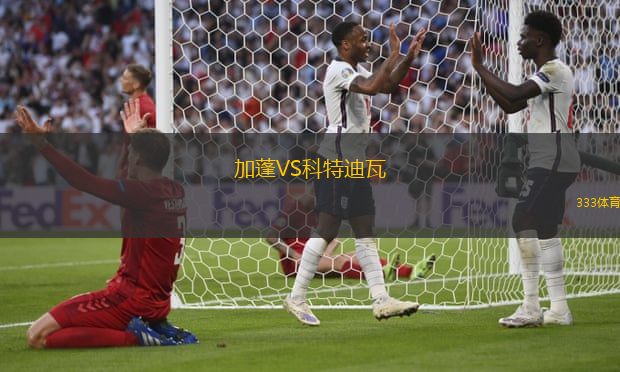 加蓬VS科特迪瓦