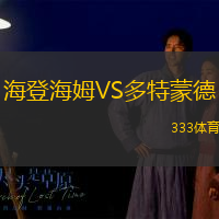 海登海姆VS多特蒙德