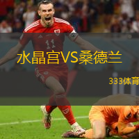 水晶宫VS桑德兰