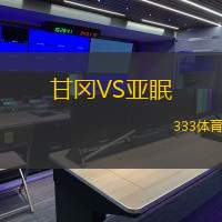 甘冈VS亚眠