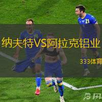 纳夫特VS阿拉克铝业