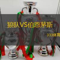 狼队VS伯恩茅斯