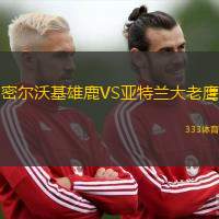 密尔沃基雄鹿VS亚特兰大老鹰