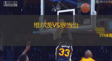 维尔茨VS罗当治