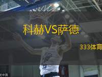 科赫VS萨德