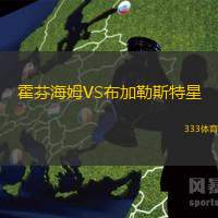霍芬海姆VS布加勒斯特星