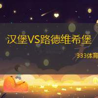 汉堡VS路德维希堡