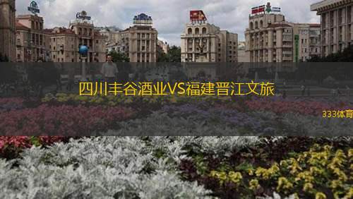 四川丰谷酒业VS福建晋江文旅