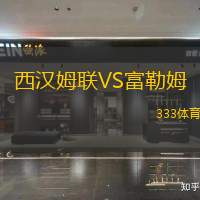 西汉姆联VS富勒姆