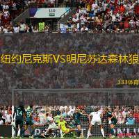 纽约尼克斯VS明尼苏达森林狼