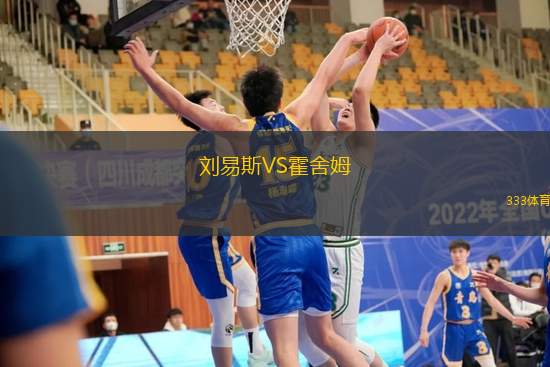 刘易斯VS霍舍姆