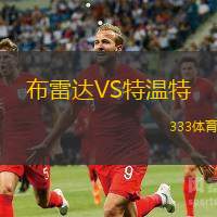 布雷达VS特温特