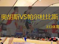 奥胡斯VS帕尔杜比斯
