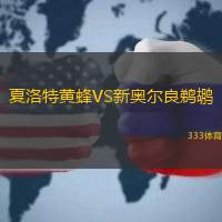 夏洛特黄蜂VS新奥尔良鹈鹕