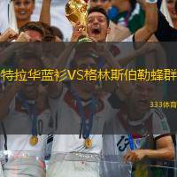 特拉华蓝衫VS格林斯伯勒蜂群