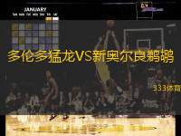 多伦多猛龙VS新奥尔良鹈鹕