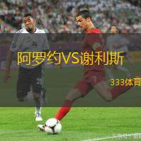 阿罗约VS谢利斯