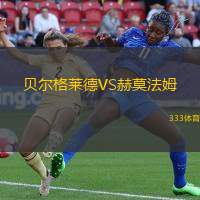 贝尔格莱德VS赫莫法姆