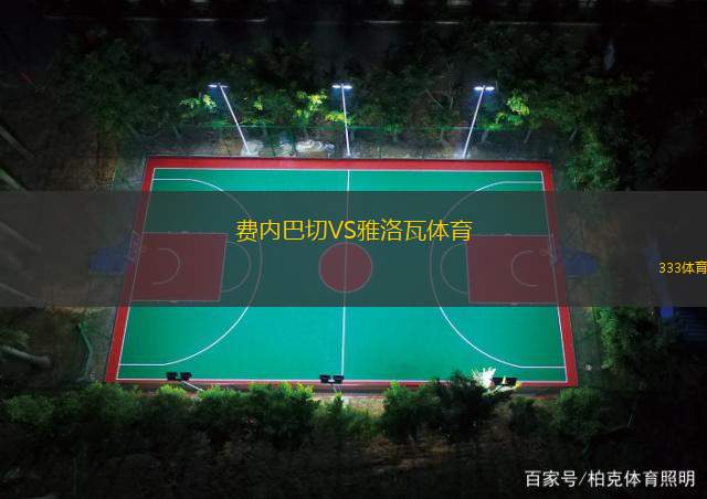 费内巴切VS雅洛瓦体育