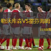 勒沃库森VS霍芬海姆
