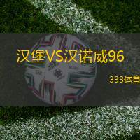 汉堡VS汉诺威96