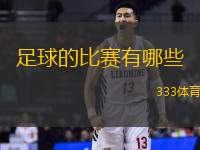 足球的比赛有哪些