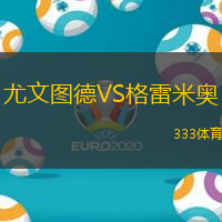 尤文图德VS格雷米奥