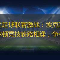 英格兰足球联赛激战：埃克塞特城与查尔顿竞技狭路相逢，争夺分差