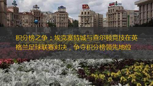 积分榜之争：埃克塞特城与查尔顿竞技在英格兰足球联赛对决，争夺积分榜领先地位