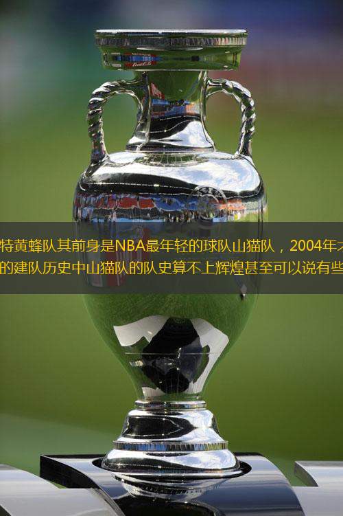现在的夏洛特黄蜂队其前身是NBA最年轻的球队山猫队，2004年才真正成立，所以在不长的建队历史中山猫队的队史算不上辉煌甚至可以说有些凄惨。