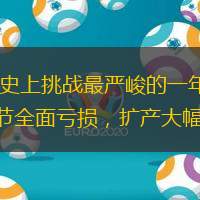 2024年是中国光伏史上挑战最严峻的一年。市场供过于求状态下，光伏主链环节全面亏损，扩产大幅停滞甚至收缩。