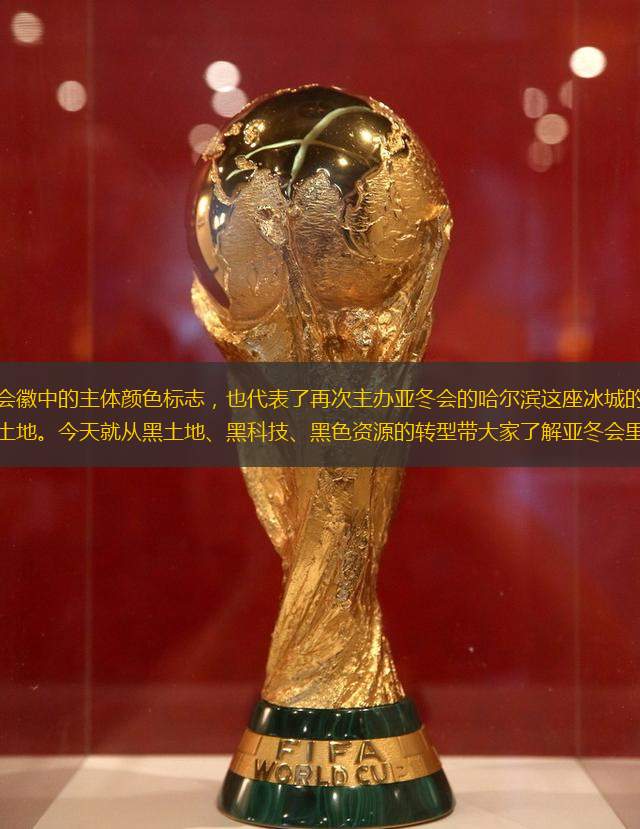 黑色，是亚冬会会徽中的主体颜色标志，也代表了再次主办亚冬会的哈尔滨这座冰城的特色资源，即松嫩平原广袤的黑土地。今天就从黑土地、黑科技、黑色资源的转型带大家了解亚冬会里的中国脚步。