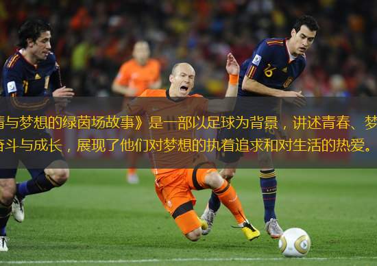 《韩国足球宝贝电影：激情与梦想的绿茵场故事》是一部以足球为背景，讲述青春、梦想与爱情的电影。影片通过一群年轻人在足球场上的奋斗与成长，展现了他们对梦想的执着追求和对生活的热爱。故事发生在一个普通的韩国