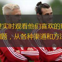 随着NBA的不断全球化，越来越多的球迷渴望实时观看他们喜欢的球队和球员的比赛。那么如何在线观看NBA直播赛事与精彩回放呢？本文将深入探讨这个问题，从各种渠道和方法入手，为球迷提供全方位的解决方案。