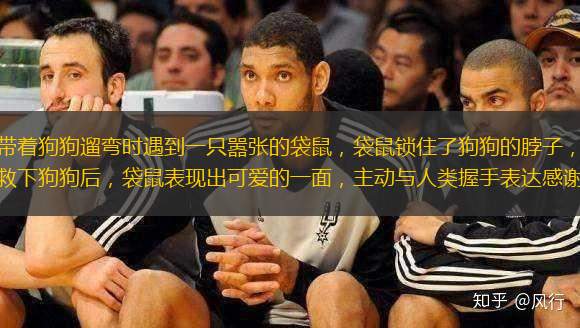 男人带着狗狗遛弯时遇到一只嚣张的袋鼠，袋鼠锁住了狗狗的脖子，男人出手救下狗狗后，袋鼠表现出可爱的一面，主动与人类握手表达感谢。