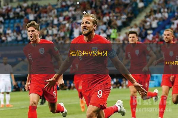福伦丹VS海牙