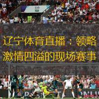 辽宁体育直播：领略激情四溢的现场赛事