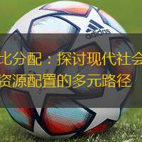 比分配：探讨现代社会资源配置的多元路径