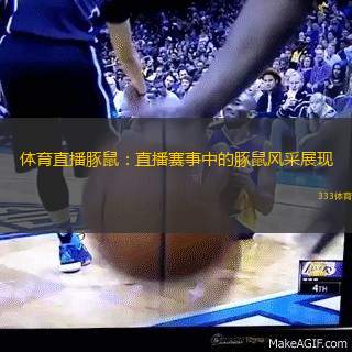 体育直播豚鼠：直播赛事中的豚鼠风采展现