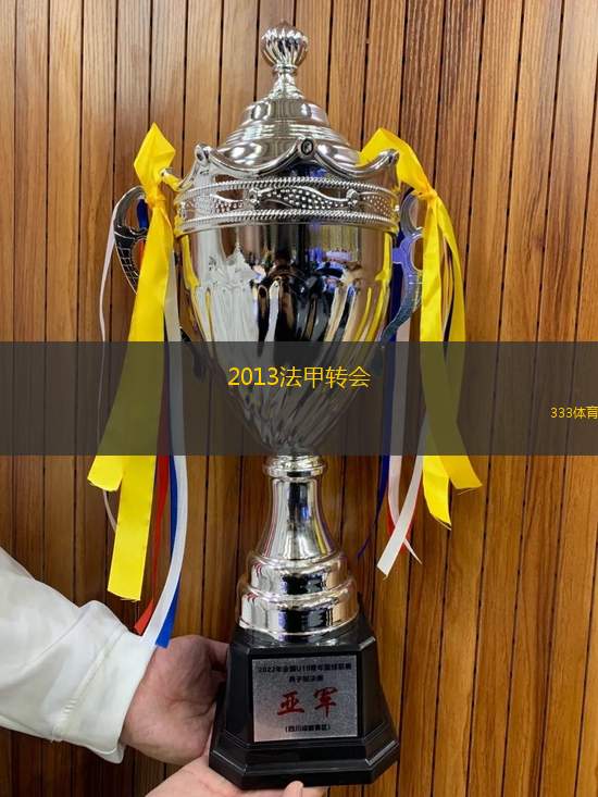 2013法甲转会(2013年法甲转会动态与精彩交易回顾)