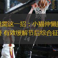 只需这一招：小猫伸懒腰 有效缓解节后综合征