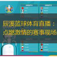 辰溪篮球体育直播：点燃激情的赛事现场