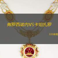 弗罗西诺内VS卡坦扎罗