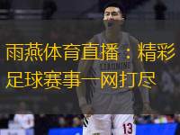 雨燕体育直播：精彩足球赛事一网打尽